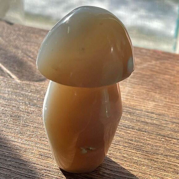 Orca agate mushroom carving crystal druzy b grey gray cream tan white - Picture 2 of 8